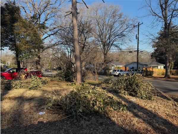 Wanted:Yard debris haul off-must have trailer,dump truck,large box tru 1