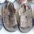 Boys Sizes 2 ,3,  and 4 Shoe Lot of 7 Pairs 3 thumbnail
