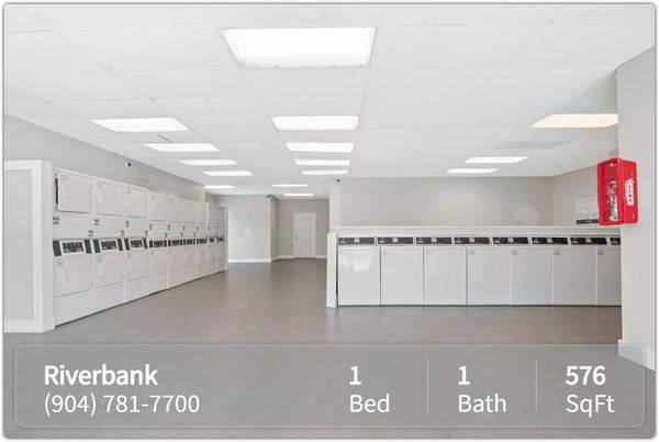 $915 / 1br - 576ft2 - Dive into Jacksonville's vibe! Perfect 1 bed, 1 bath location. (Jacksonville)64005272638979120
