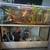 Aquarium 3 thumbnail