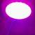 Grow Lights 3 thumbnail