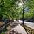 [Lease Transfer]Furnished 1 Bed/1Bath Apartment in Mt. Vernon Triangle 18 thumbnail