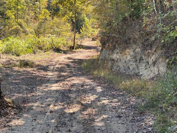 39.500 dólares, 11,9 acres boscosos con campamento despejado/lugar para construcción: financiamiento del propietario disponible (Condado Wolfe, Kentucky)63470402784771123