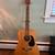 ALVAREZ ACOUSTIC GUITAR obo 1 thumbnail