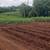 FARM in Costa Rica 7 thumbnail