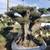 Dragon Trees and Sculpted Olive Trees 3 thumbnail