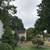 Tree removal   trimming  Tree care  Tree service 16 thumbnail