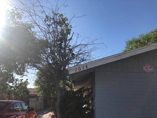 👍Affordable Central location all utilizes including bachlor house 1