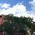Urban Oasis Near Central Park, Rare Offering 5 thumbnail