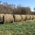 Round Hay Bales 4 1/2' x 5' Mixed Grass 1 thumbnail