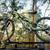 RockyMounts BrassKnuckles Rooftop Bike Rack 1 thumbnail
