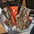 Deer hunting vest and jacket 4 thumbnail