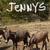 Mini Donkeys 1 thumbnail