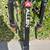Allen Sports Deluxe - Bike Hitch Rack 6 thumbnail