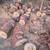 In Town Firewood various size Pine Logs 7 thumbnail