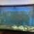 110 Gallon tall aquarium breakdown sale 1 thumbnail