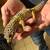 Giant Gecko and habitat 1 thumbnail