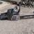 16 Inch Craftsman Chain Saw with Case 4 thumbnail