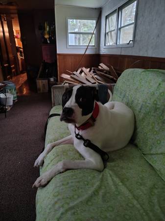 Found (Bremen/Buchanan area)63752431947649120