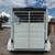 2026 Calico 2-Horse 12x6x7 BP Horse Trailer 4 thumbnail