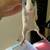 Feeder/pet rats 2 thumbnail