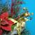 Christmas Holiday Floral Decoration 5 thumbnail