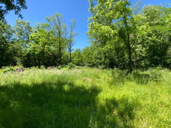 $1 20 Acre Auction - Fulton63845292792323123