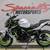 2021 Kawasaki Z650 ABS Naked 9 thumbnail