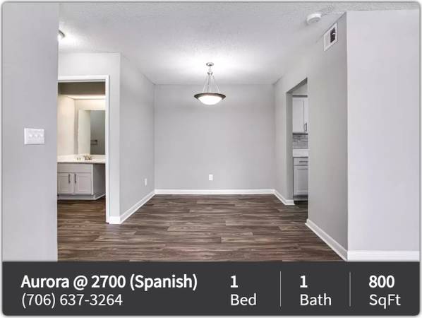 $1,199 / 1br - 800ft2 - Wow! You'll love this amazing 1 bedroom, 1 bath! (Lilburn)63921562089731121