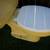 American Standard Yellow 4049 Tank Toilet No Lid 3 thumbnail