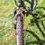 **** LIKE NEW WOMENS / GIRLS  MAGNA ,  MOUNTAIN BIKE**** 6 thumbnail