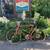 Downsizing -- art, antiques, tools, bike, guitar 2 thumbnail