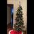 7 Ft. Pre-Strung Lights Slim Colorado Spruce Artificial Christmas Tree 8 thumbnail