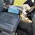 2007 Ford F-250 Super Duty 7 thumbnail