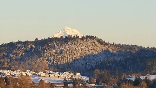 $3200.00 / 4br - 2600ft2 - 4 bd/2.5 ba with Mt Hood view_ Portland, Oregon64038884882051123