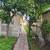 One bedroom Guesthouse for rent. 21 thumbnail