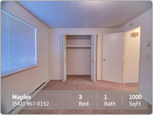 $1,675 / 3br - 1000ft2 - Hermosos apartamentos, baño completo con combinación de bañera y ducha (Albany)63945101832067122
