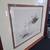 Deer Drawing Print Framed Signed 6 thumbnail