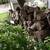 oak firewood-make an offer 1 thumbnail