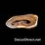 Designer Warehouse of High End Rustic Coastal Furniture - Crafted, NEW 19 thumbnail