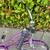 Tuesday March 7 foot forward bike. 7 speed 2 thumbnail