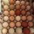 Chicken and duck eggs 4 thumbnail