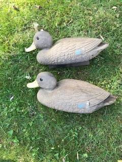 2 Flambeau Duck Decoys (b) 1