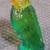 1977 Avon Island Parakeet Decanter Full 1.5 fl oz Charisma Cologne Full 3 thumbnail