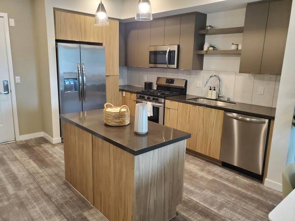 $2,659 / 1br - 735ft2 - Luxury 1-bd with Walk-in Closet, W/D, Balcony, & Ready for Move-in!63865483697281120