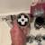 Bath Plumbing Repair Supplies 8 thumbnail