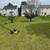 🌲🌳 Everything lawn care outdoor services 2 thumbnail