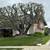 TITLE: 🌳 TREE TRIMMING & REMOVAL – FREE ESTIMATES 🌳 BODY: Professi 3 thumbnail