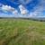 30 Acres in north Bakersfield for sale or lease - Seller Finance 5 thumbnail