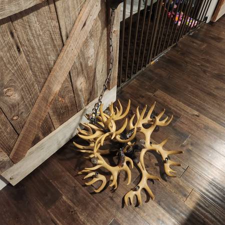 Antler light fixture 1